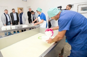 რძის მწარმოებელი კოოპერატივების მხარდაჭერის პროგრამაში რეგისტრაცია გაგრძელდა