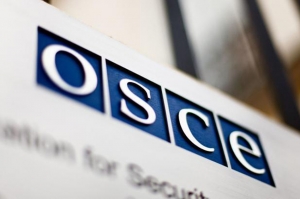 უბნებთან კოორდინატორები სავარაუდოდ ამომრჩევლების დაშინებას ხელს უწყობდნენ - OSCE/ODIHR