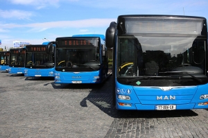 გამოცდების გამო თბილისში ავტობუსები სპეციალური მარშრუტებით იმოძრავებენ