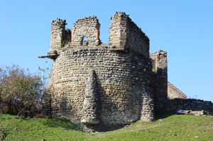 ლალისყურის ციხეს კულტურული მემკვიდრეობის ძეგლის სტატუსი მიენიჭა