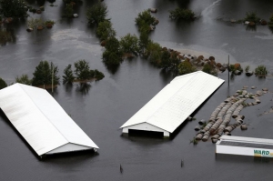 ქარიშხალ „ფლორენსს“ 35 ადამიანი ემსხვერპლა