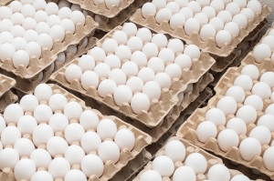 კვერცხის 60 ნიმუშის ლაბორატორიული კვლევისას დარღვევა არცერთში არ გამოვლინდა