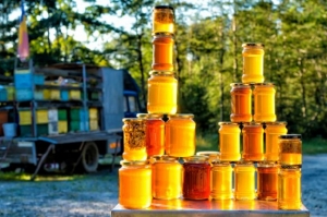 მთავრობა 73.2 ტონა რუსულ თაფლს აღარ შეისყიდის
